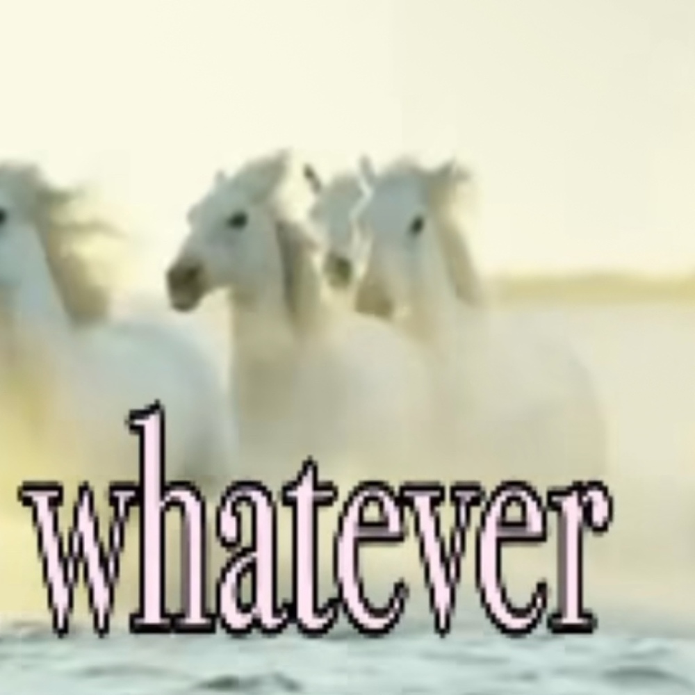 Meet your Posher, Lu